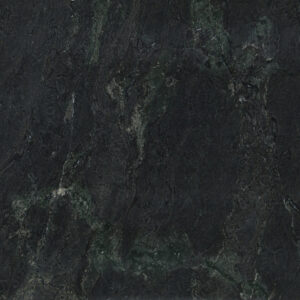 Evolution Green | Leather Design